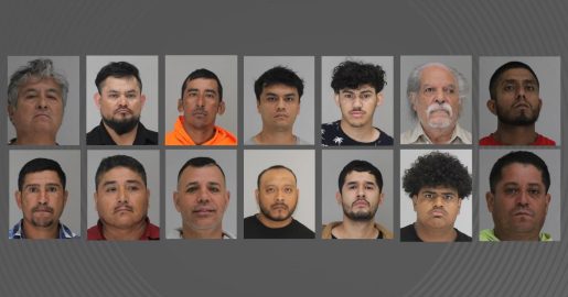 14 Illegal Aliens Charged With Child Sex Crimes in Dallas