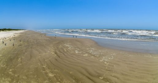 New AI To Track Bacteria Levels on TX Beaches