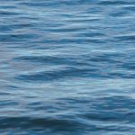 Two Bodies Recovered From Lake Ray Hubbard