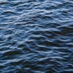 Body Of Missing Grapevine Swimmer Found