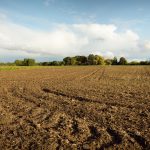 Feds Attempt to Grab More Private Land in Texas
