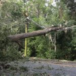 Opinion: Misallocation of Funds, Not the Storm, Caused Beryl Power Failures
