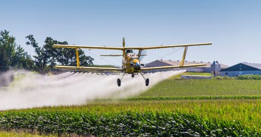 Certain Pesticides Linked To Increased Cancer Risk
