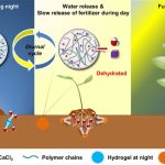 Smart Soil Uses Material Created by UT Austin