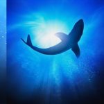 Local Woman Talks About How South Padre Shark Ripped Off Part of Her Leg