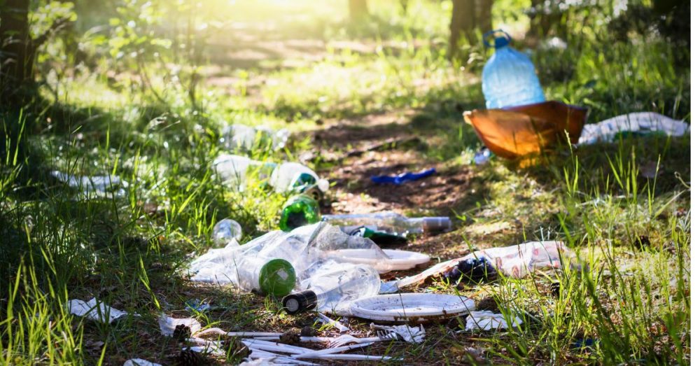 Litter Reports Pile Up in Parts of Dallas