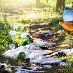 Litter Reports Pile Up in Parts of Dallas