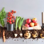 Nutritionist Shares Diet Tips for Those That Need More Energy