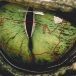 Is The Deep State The One-Eyed King?