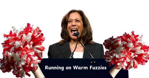 Inside The Democratic Party’s Platform