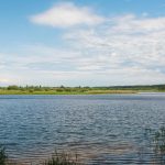 21-Year-Old Man Dies Trying To Rescue Distressed Teen From Lake Waxahachie