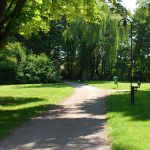Irving Woman Attacked While Walking In Park