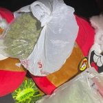 Traffic Stop Yields Ecstasy, Marijuana Hidden In Buc-ee’s Plushies