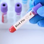 Dairy Workers Unknowingly Contracted Bird Flu