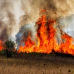 Abbott Preps State For Possible Wildfires In North Texas