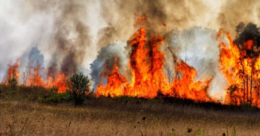 Abbott Preps State For Possible Wildfires In North Texas