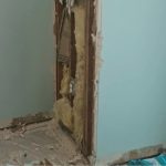 City Mismanagement Of Homeless Shelter Results In Mold