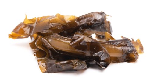 Could Seaweed Prevent Parkinson’s?