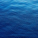 Man’s Body Recovered From Lewisville Lake