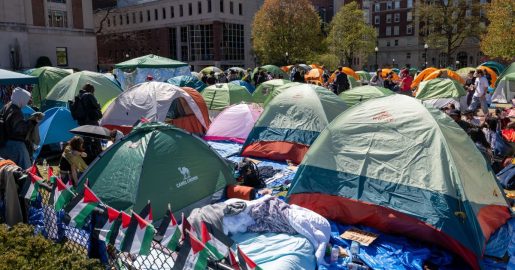 Divided Opinions: What Students Really Think About Campus Protests