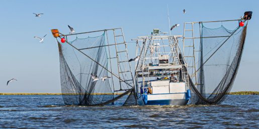 Save Our Shrimpers: Texas Fisherman In Danger