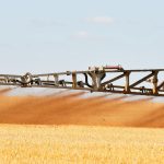 EPA Gives A&M, Texas Tech Grants To Research PFAS Impact On Farmland, Livestock
