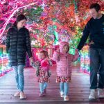 Fort Worth Botanic Garden To Light Up This Holiday Season