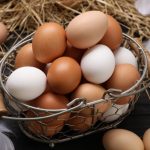 The Rising Cost Of Eggs Adds To The Burden Of Daily Staples Becoming Too Expensive