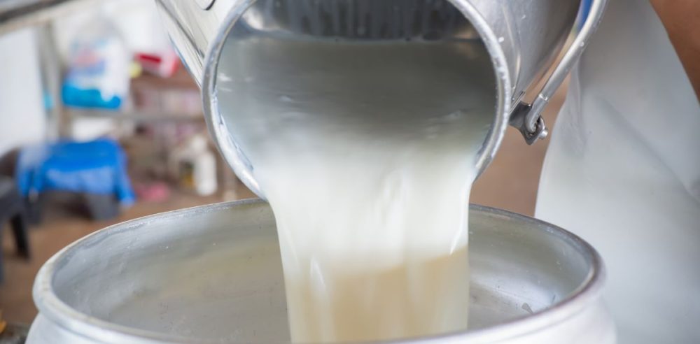 Milk Wars: Marjorie Taylor Greene Takes Side In Raw Milk Debate