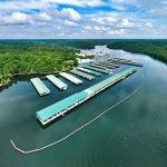 Dallas Asset Management Firm Acquires Arkansas Marina
