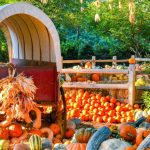 Dallas: Weekend Guide To Events You Don’t Want To Miss