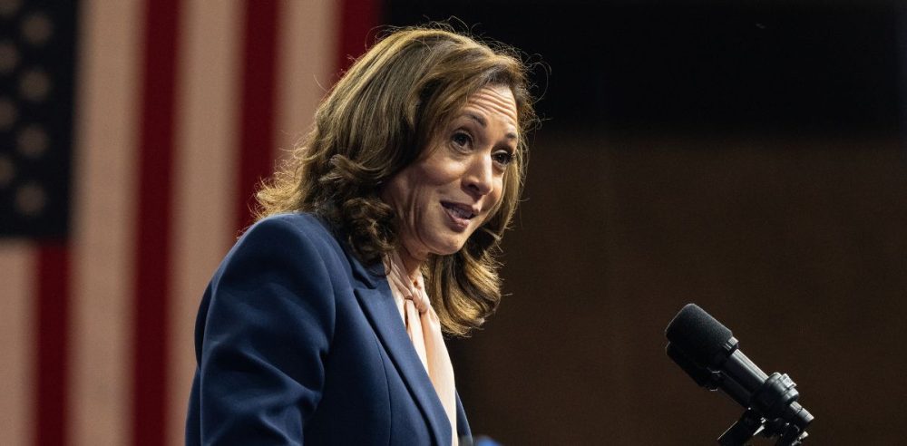 Poll Reveals Texas Voters Fear Kamala Harris Will Skyrocket Taxes