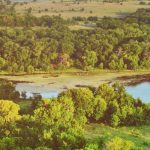 Large Development Breaks Ground In Celina, 4,000 Homes Expected