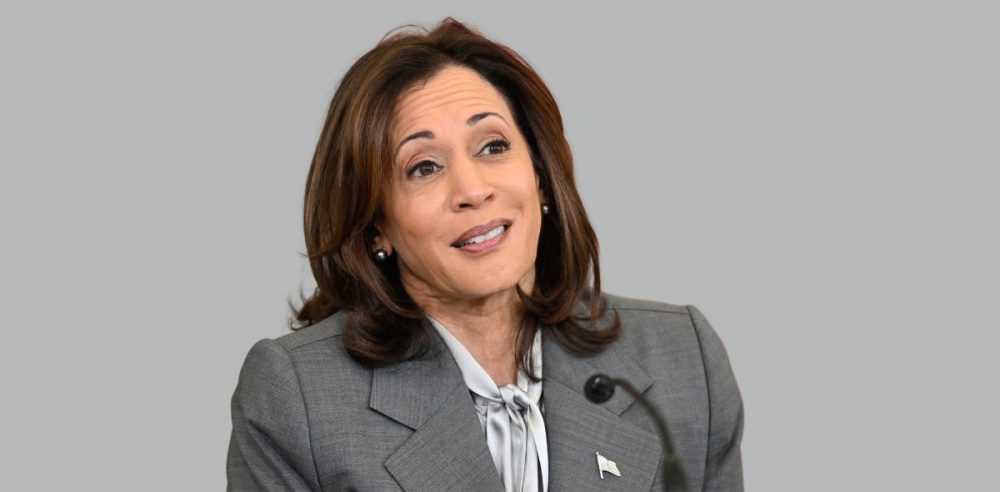 DNC Leader Officially Deems Kamala Harris’ Campaign A ‘$1 Billion Disaster’