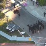 12 Arrested at Pro-Palestine Protest in Dallas