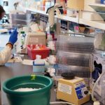 Can COVID Kill Cancer?