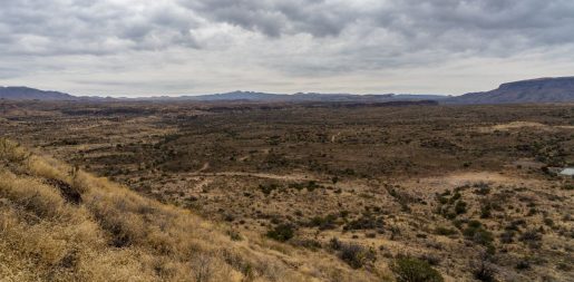 Texas Takes Action to Block Foreign Adversaries from Land Purchases