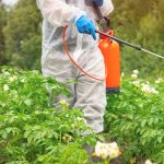 22 Pesticides Linked To Heightened Cancer Risk