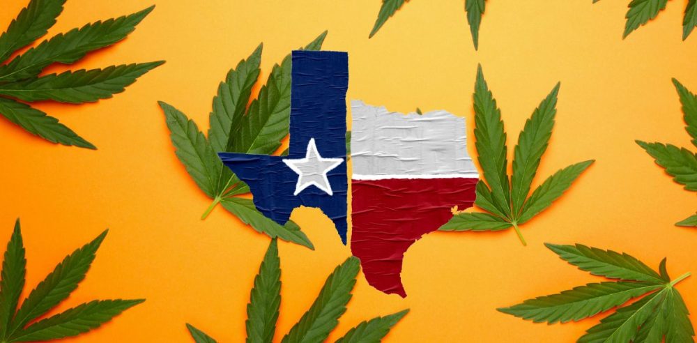 Paxton Sues Dallas Over Marijuana Decriminalization