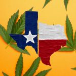 Paxton Sues Dallas Over Marijuana Decriminalization