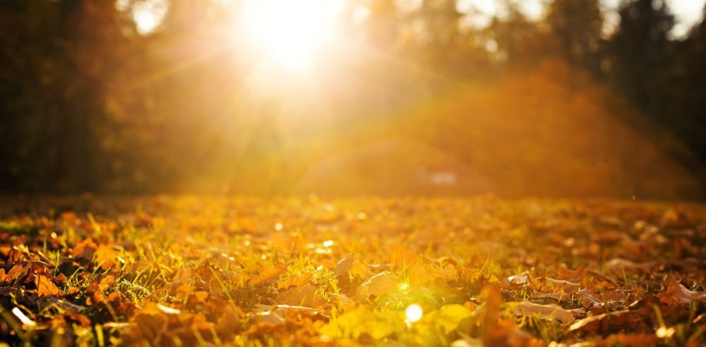 Thanksgiving Day Weather: Cozy Breezes In North Texas vs. Wintry Woes Elsewhere