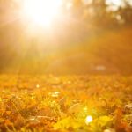 Thanksgiving Day Weather: Cozy Breezes In North Texas vs. Wintry Woes Elsewhere