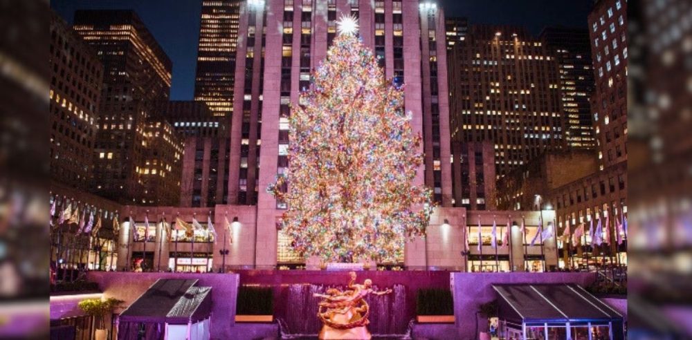 Inside The Selection Of Rockefeller Center’s Iconic Christmas Tree