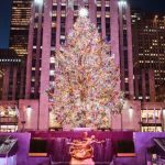 Inside The Selection Of Rockefeller Center’s Iconic Christmas Tree