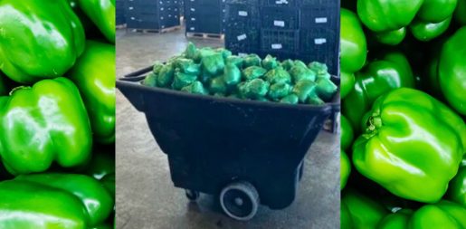 Pepper-ing Up The Drug Trade: Over $31 Million Worth Of Meth Disguised As Serrano Peppers