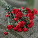 Investigation Reveals American Women And Girls Fiercely Fought Back Against Their Illegal Alien Attackers