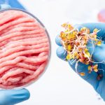 Plant-Based Meat Linked To Depression