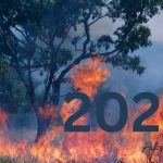 Unprecedented Billion-Dollar Disasters Hit The U.S. In 2024: A Closer Look At The Impact