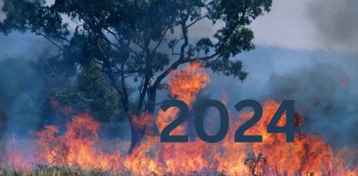 Unprecedented Billion-Dollar Disasters Hit The U.S. In 2024: A Closer Look At The Impact