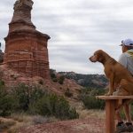 12 Best Dallas-Fort Worth Hiking Trails to Explore This December